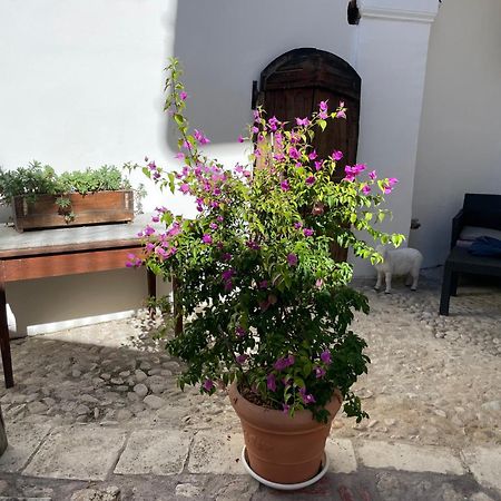 Piazzetta Del Forno Appartamento Assergi Buitenkant foto